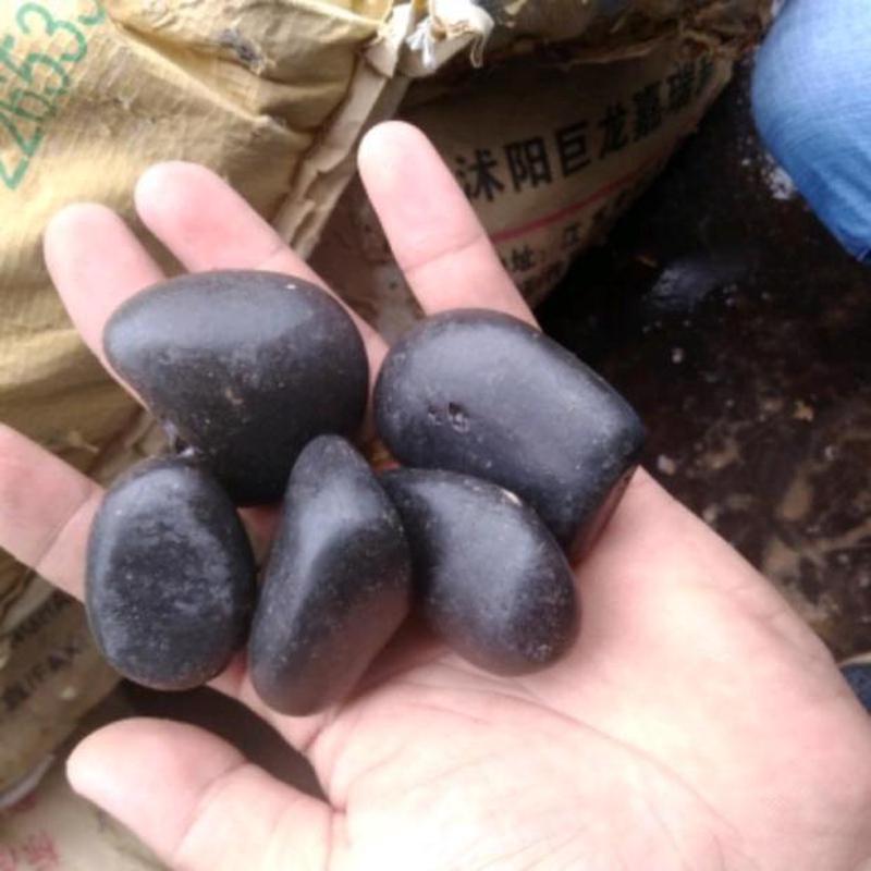 精品黑色小石头雨花石花盆鱼缸阳台装饰鹅卵石石子庭院铺路