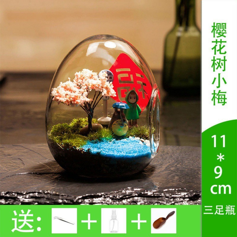 微景观摆件微观苔藓绿植物玻璃组合盆栽生态瓶材料包盆景套装
