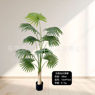 仿真热带加州蒲葵仿真绿植盆栽客厅落地圆叶葵扇树绿植摆件
