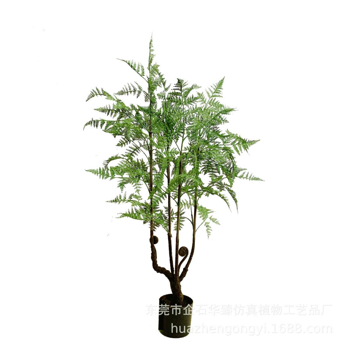 仿真马尾蕨蕨树盆栽室内绿植热带植物大型装饰摆件仿真树批发,鲜花速递/花卉仿真/绿植园艺,仿真绿植,淘宝优惠券,粉丝福利购,淘宝优惠卷