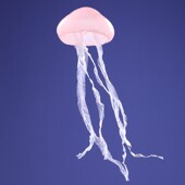 543道具水母橱窗陈列商场美陈海洋主题家居软装 饰品创意场景布置