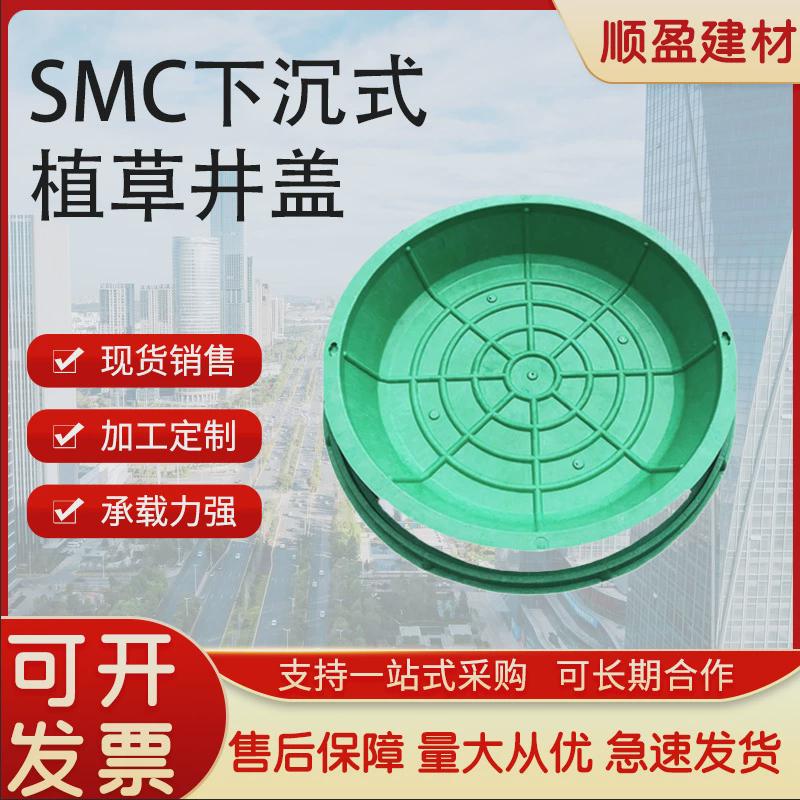 厂家直供smc树脂植草井盖井盖式圆形井盖草坪隐形下沉污水草井