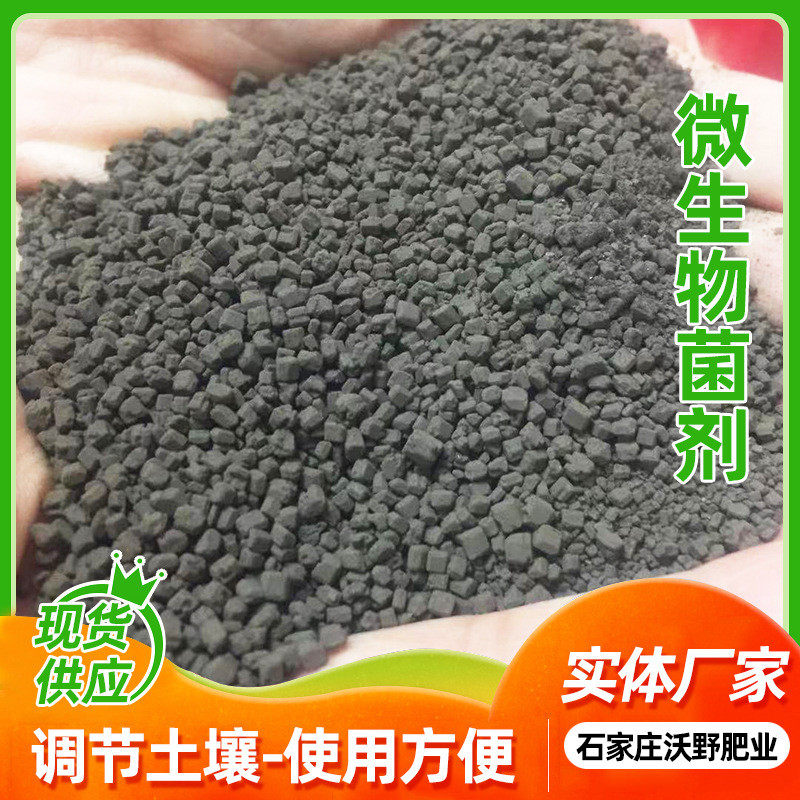 复合微生物菌肥定制蔬菜果树颗粒有机肥果多种活菌有机菌肥菌剂