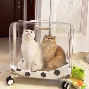 双肩大容量拉杆箱猫咪外出便携行李箱宠物狗透明透气大号容量