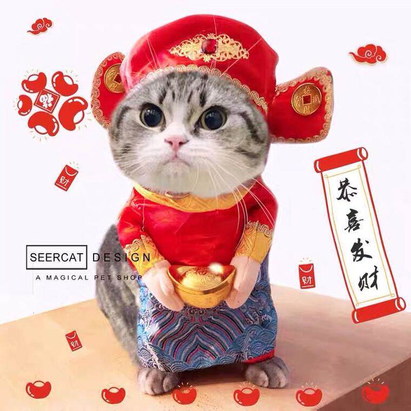 可爱猫咪宠物巴哥搞笑衣服小型狗狗喜庆财神变身搞怪拜年比熊唐装