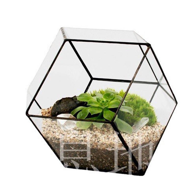 16018a包邮!花房立方体植物玻璃生态瓶玻璃花瓶多肉玻璃微景观