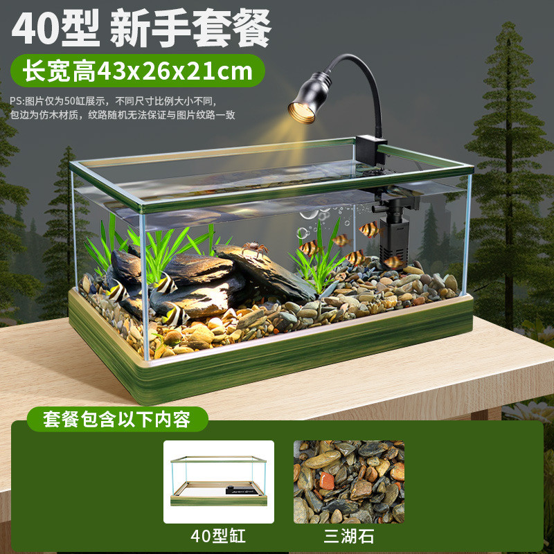 南美缸溪流风客厅中小型桌面龟缸家用热带雨林造景全套生态养鱼缸