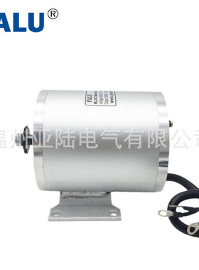 热销高速无刷电机my1020升级版电机bm1109电动越野车电动机800w36