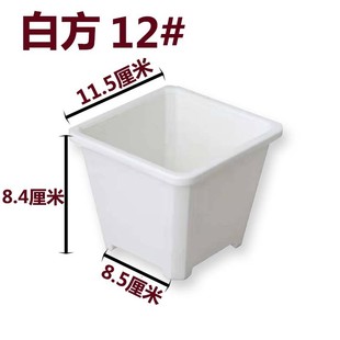 景天盆用白方多肉盆厂家批发多肉育苗盆基地花盆电商基地黑方