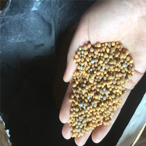 热销批发月绿肥a2多肉植物花卉用缓释肥5-6奥整包25公斤