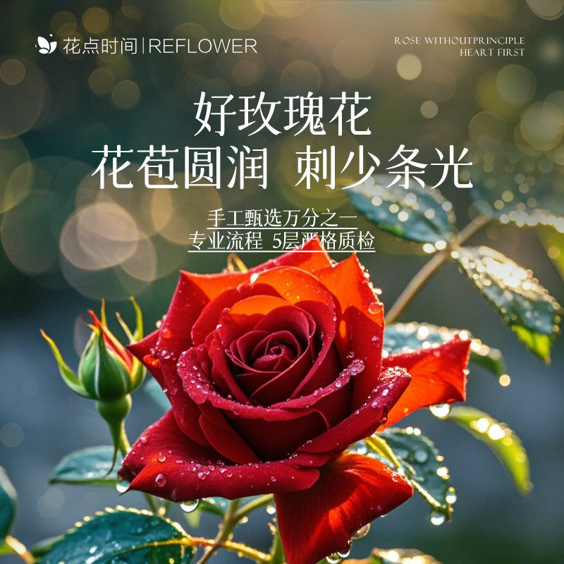花点时间云南昆明直发鲜花红玫瑰花鲜花束多头珍爱瓶插家用鲜切花
