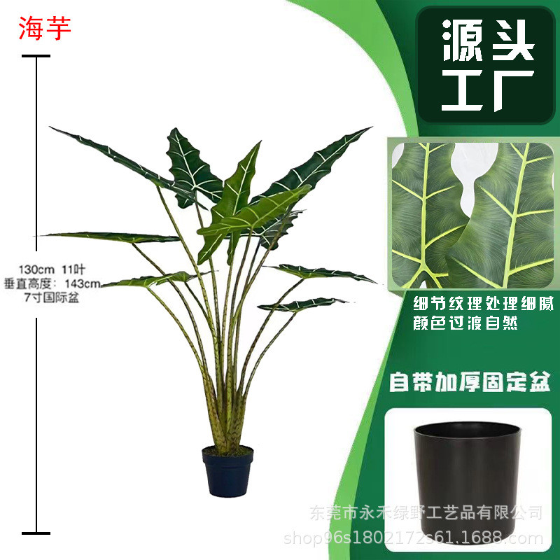 北欧风仿真萨利安海芋家居商场橱窗装饰植物仿真绿植盆栽真仙芋仿