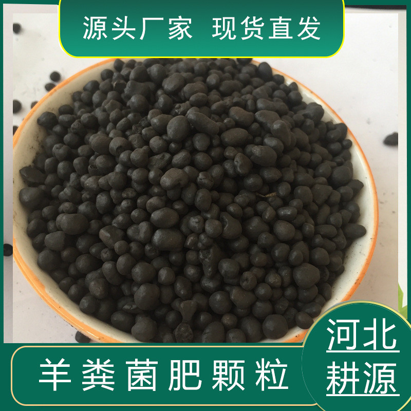 菌颗粒发酵有机肥改良土壤2亿活河南数微生物颗粒水稻专用肥