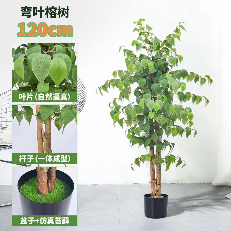 仿真榕树小型盆景绕藤榕树弯客厅仿真植物室内叶榕榕树