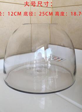 透明玻璃花瓶水培干花器鱼缸酒店婚庆样板房客厅摆件微景观生态瓶