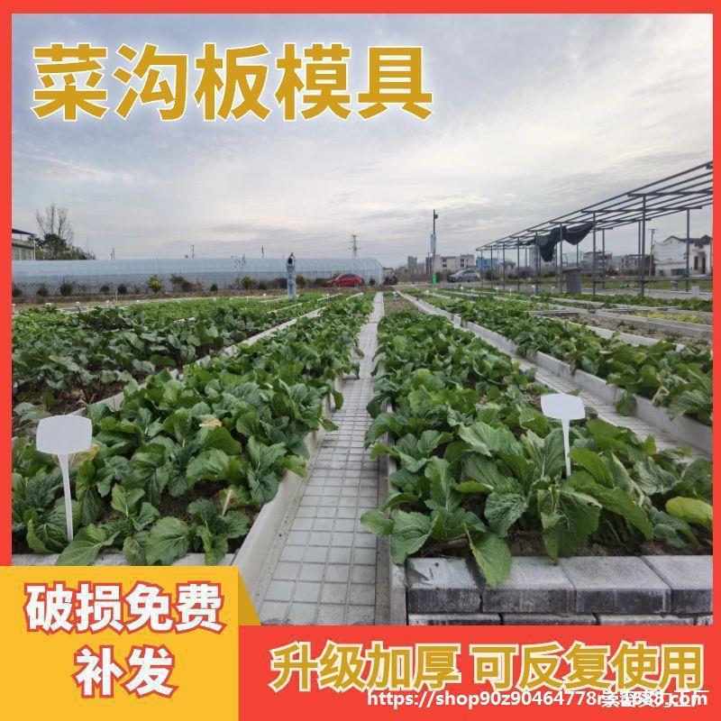 地沟板模具加厚塑料菜沟板成品菜地庭院田园水泥菜沟板模具