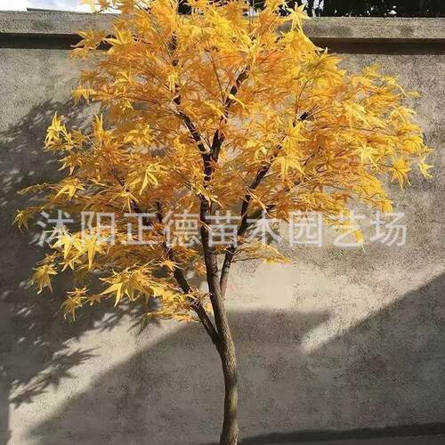 大型绿植枫叶树仿真红枫树造景黄色酒店装饰假树黄叶枫树设计枫叶