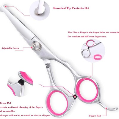 宠物剪刀套装不锈钢狗猫修毛剪圆头安全剪美容弯剪牙套装宠物平剪