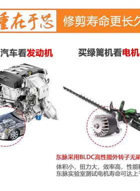 热销东脉58v电动修枝剪充电式机修机单双刃修枝绿篱剪修茶机tphd5