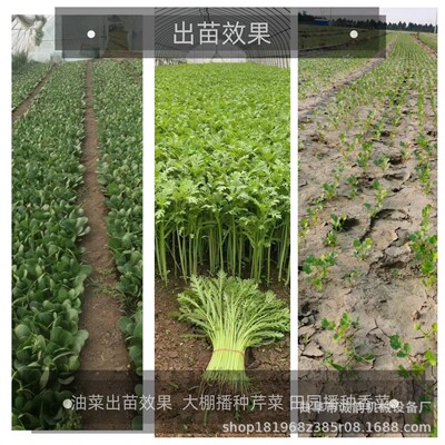 蔬菜农用播种机三行四行五行胡萝卜白菜油菜手推式播种器