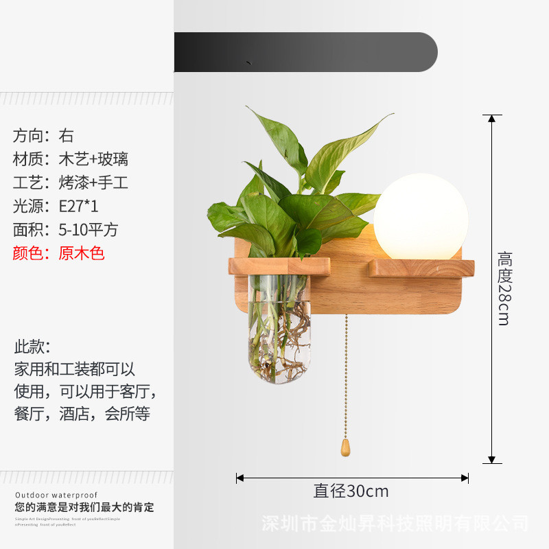 北欧壁灯创意床头灯过道卧室客厅背景墙植物培养皿带拉线开关灯具