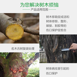 国光糊涂丙烯酸愈合剂伤口促进愈合伤口树脂愈伤膏树皮损伤涂抹剂