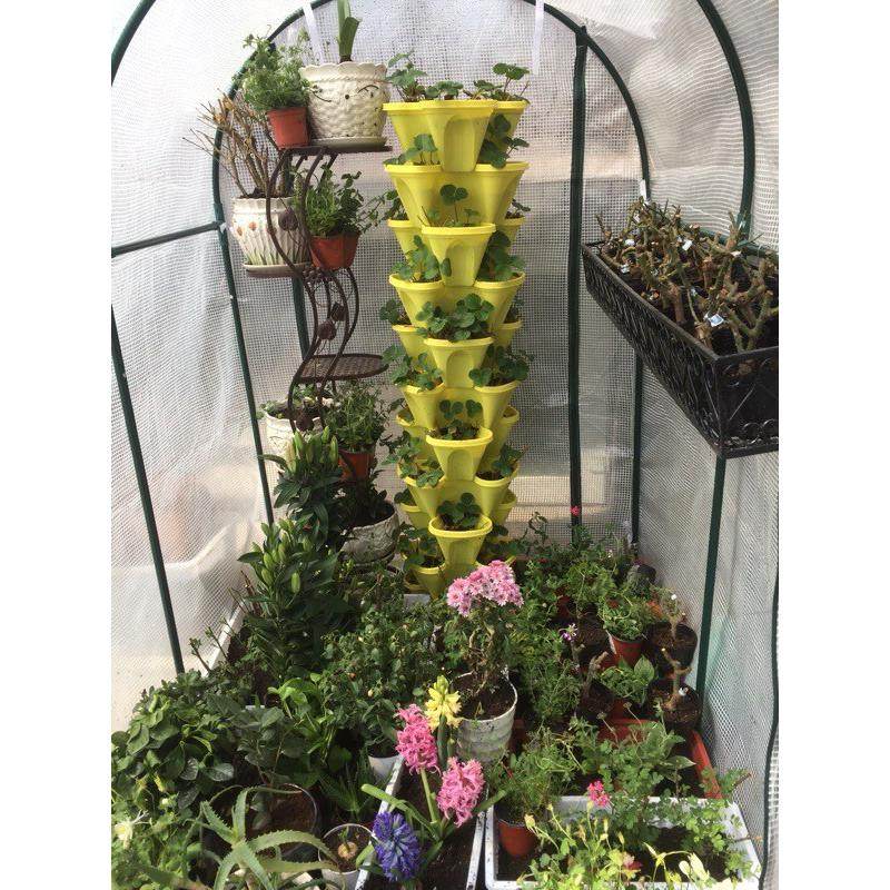 阳台温室暖房花房保温棚设备大棚阳台菜园多肉温室园艺用品