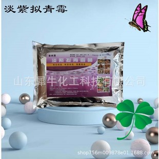 淡紫销售淡紫拟青霉农业水溶性生物土壤改良供应现货拟青霉菌
