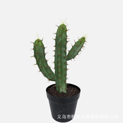 仿真仙人柱摩洛哥仙人掌仙人球多肉沙生植物造景软装配件