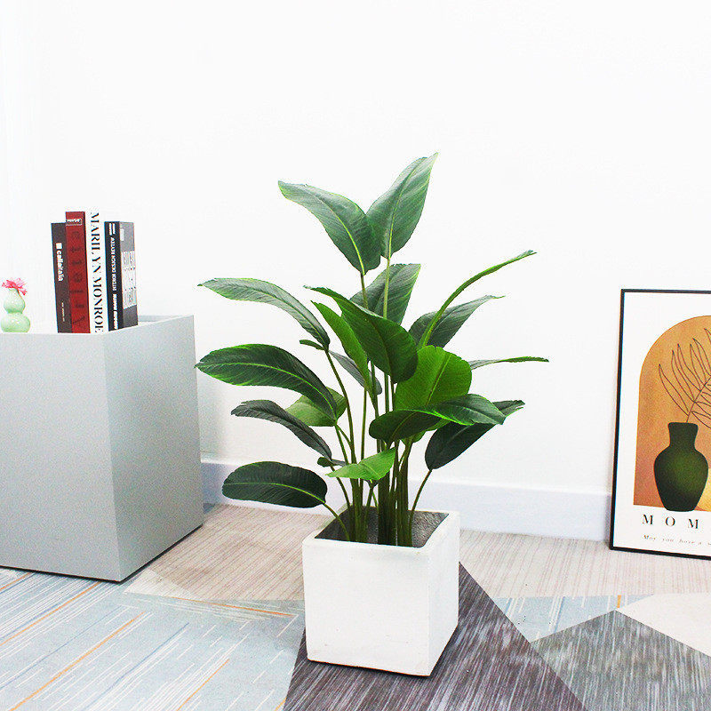 热销北欧大型旅人蕉仿真绿植盆栽室内装饰五杆香蕉叶盆景客厅假树,鲜花速递/花卉仿真/绿植园艺,仿真绿植,淘宝优惠券,粉丝福利购,淘宝优惠卷