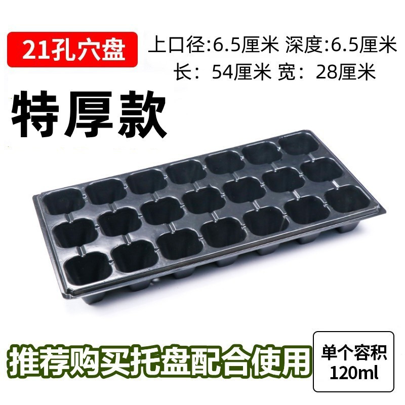 。批发育苗盘穴多肉育苗盒育苗盆蔬菜育苗盆塑料育苗器苗木盘整箱