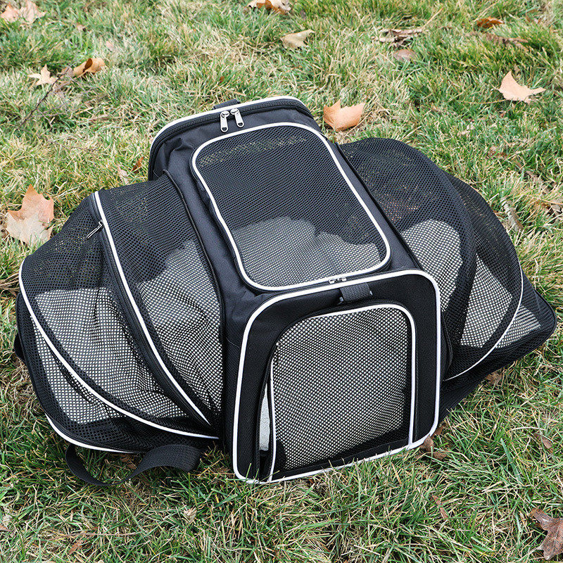宠物包外出便携包可折叠手提式拓展猫包大容量两只小型宠物外出包,宠物/宠物食品及用品,背包/箱包,淘宝优惠券,粉丝福利购,淘宝优惠卷