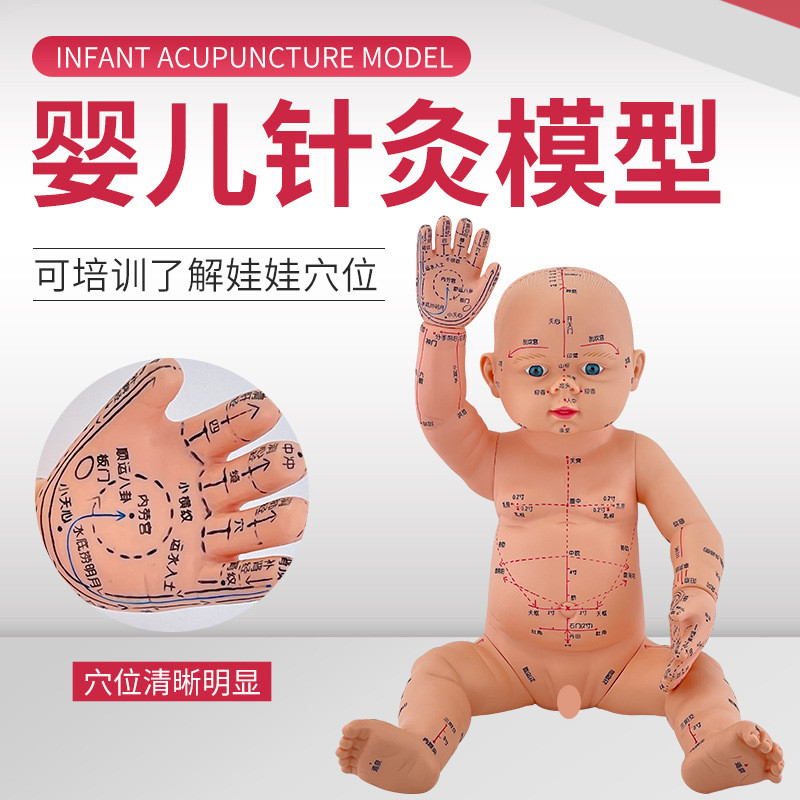 婴儿人体模型儿童娃娃人体模型针灸中医通用穴位小儿推拿仿真模型