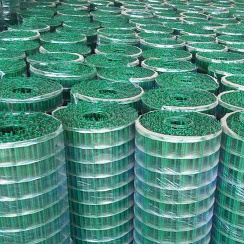 浸塑鸡鸭低碳铁丝荷兰网防护圈地养殖网果园围栏网种植现货护栏网