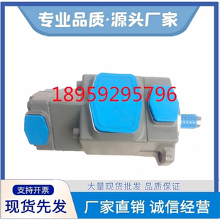 10叶片泵 TECH海特克PVL13 HIGH