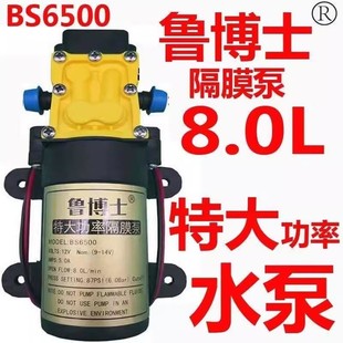 鲁博士喷雾器水泵12V直流水泵电动喷雾器水泵隔膜泵高压自吸泵