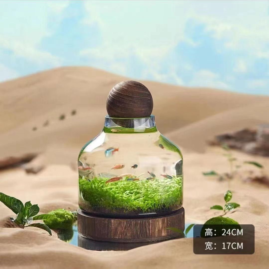 厂家日式玻璃鱼缸木托轻奢创意生态瓶椭圆形生财瓶聚宝盆微景观