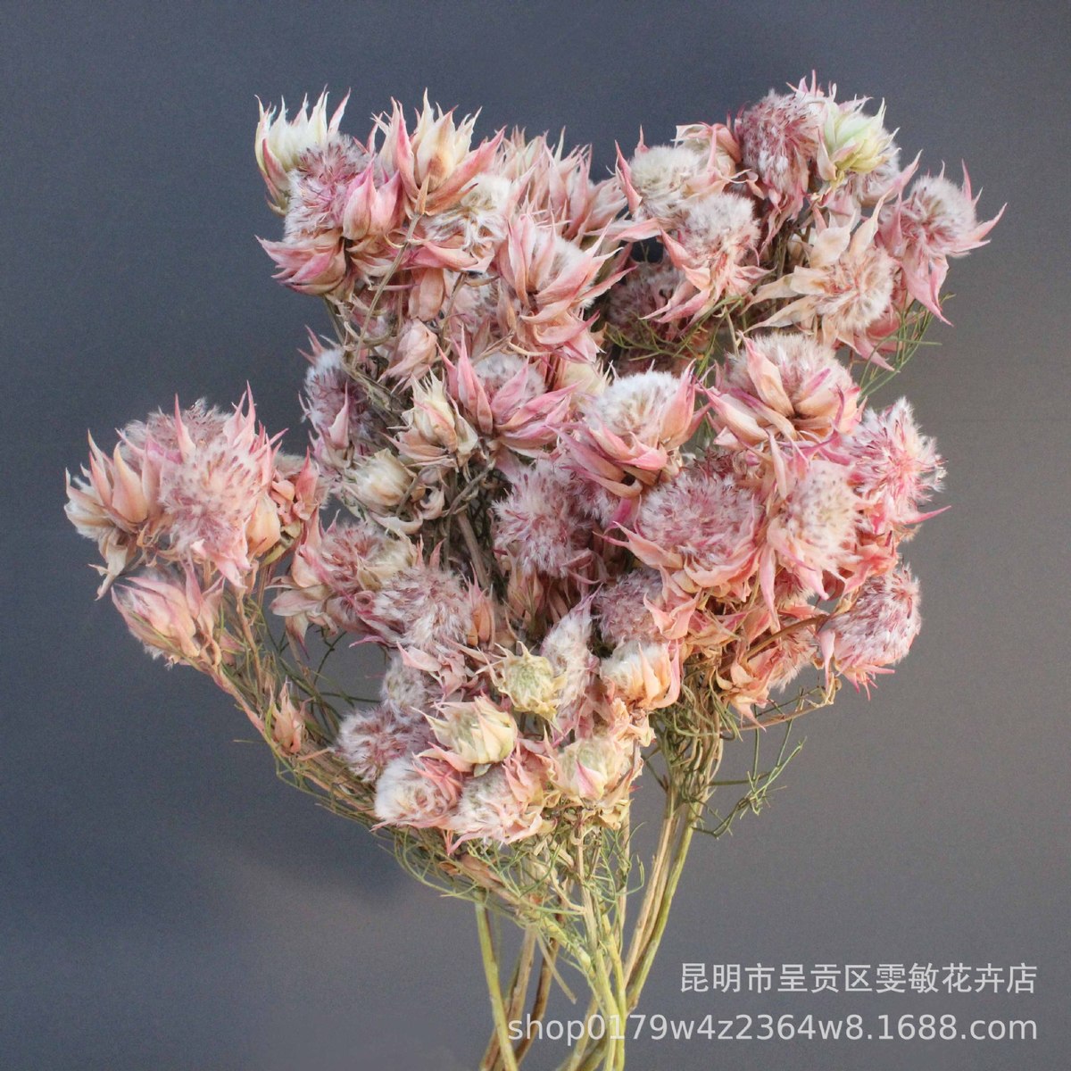 新娘花干花新娘花清新自然橱窗草婚庆配展示装饰插花拍摄道具