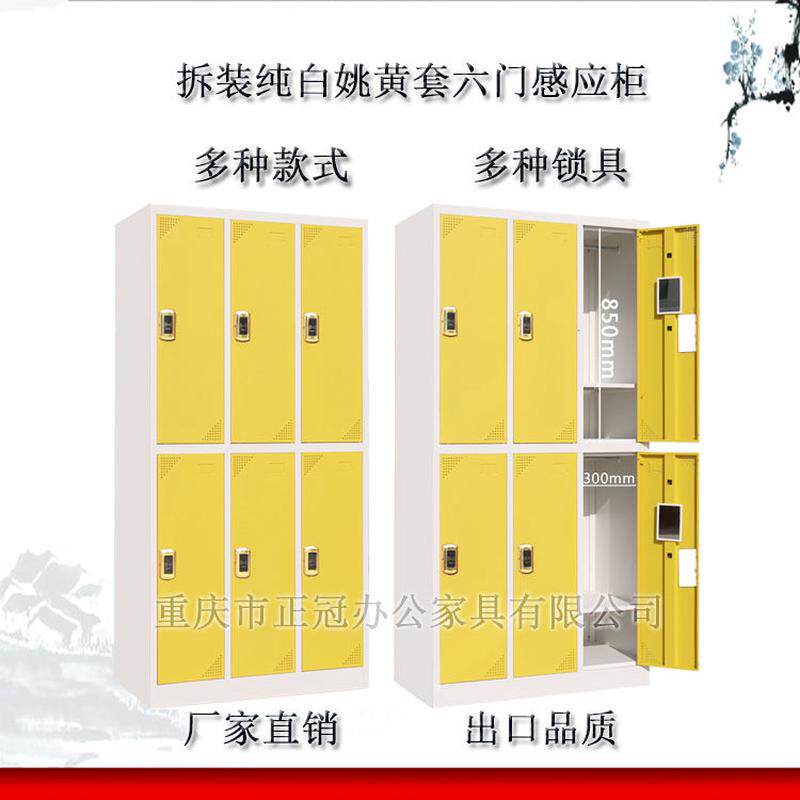 铁皮彩色员工衣柜儿童游乐园健身房浴室储物柜多门感应锁更衣柜