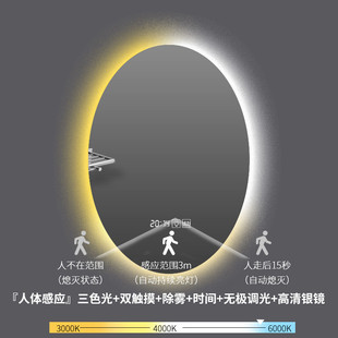 涵珍外贸智能浴室镜子led椭圆形镜子卫生间带灯防雾镜触摸屏
