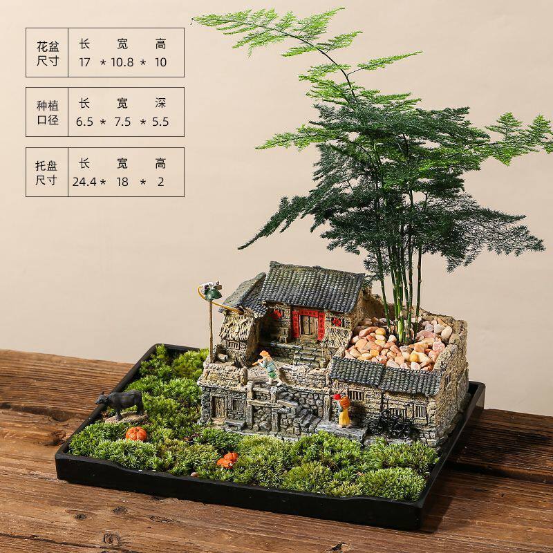 室内中式复古老房子花盆造景创意微景观小摆件多肉植物文竹盆景