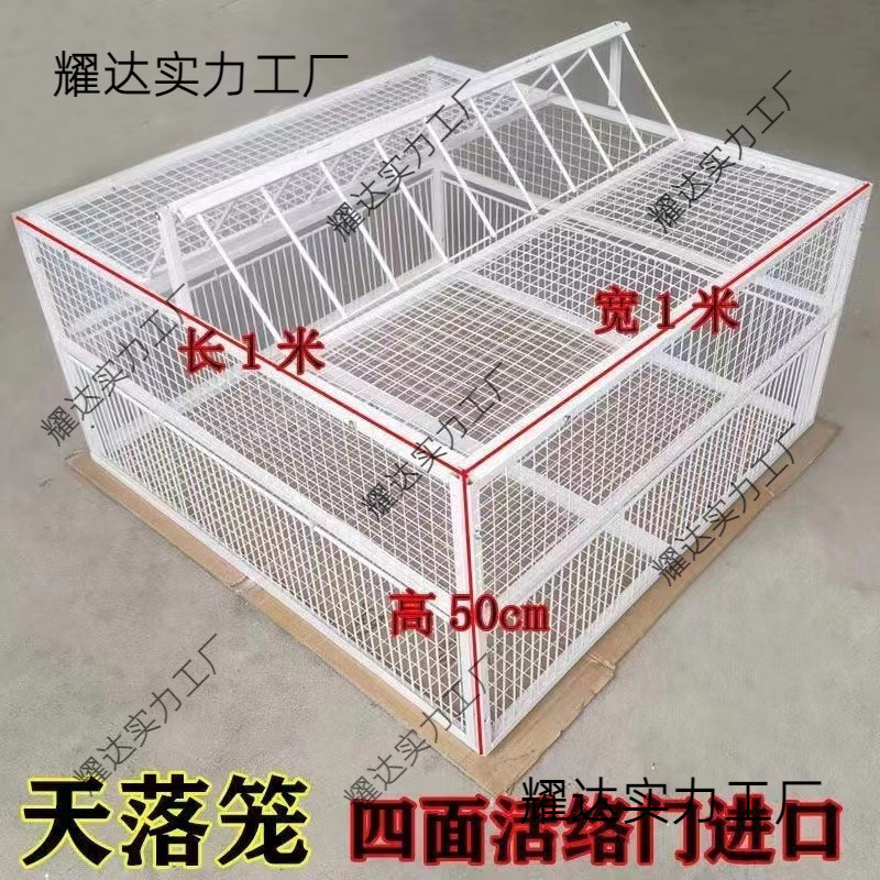 捕鸽鸽子野抓鸽子笼撞门补楼顶户外天落笼只进不出收自动