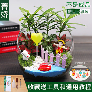 12cm瓶切口生态苔藓微景观diy材料包桌面迷你绿植物花卉小盆栽