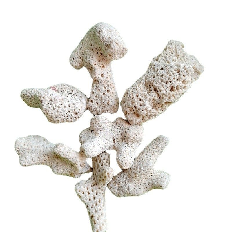 批发水族砂珊瑚石水族鱼缸过滤材料珊瑚骨珊瑚造景底砂鱼缸过滤砂,宠物/宠物食品及用品,鱼,淘宝优惠券,粉丝福利购,淘宝优惠卷