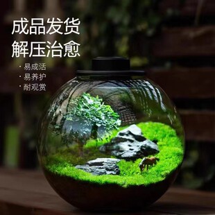 热销微景观中式创意假山流水陶罐造景植物室内家居客厅办公室桌面