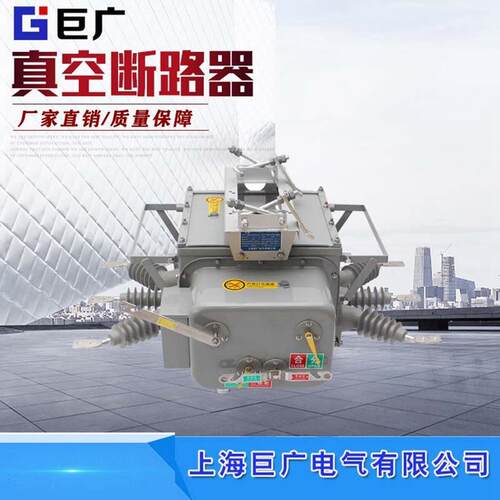 热销zw20b-12/630a型户外柱上高压真空断路器 zw20b断路器真空高