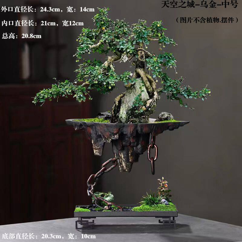 铁艺悬挂式花盆创意天空之城家居客厅装饰文竹多肉花盆大号造景盆