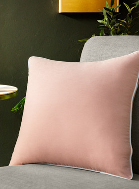 0lwh高弹枕芯45x45cm大靠抱枕芯沙发靠垫内胆x60x65x80床上长方形