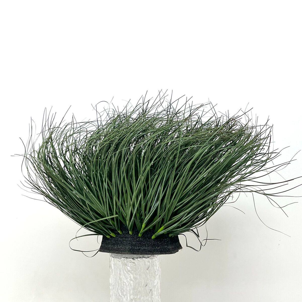 室内植物装饰湾洋葱草团装扮仿真植物工程景观户外婚礼布置草假草