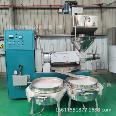 大型全自动榨油机型榨油机精炼设备商用100全套油坊榨油机生产线